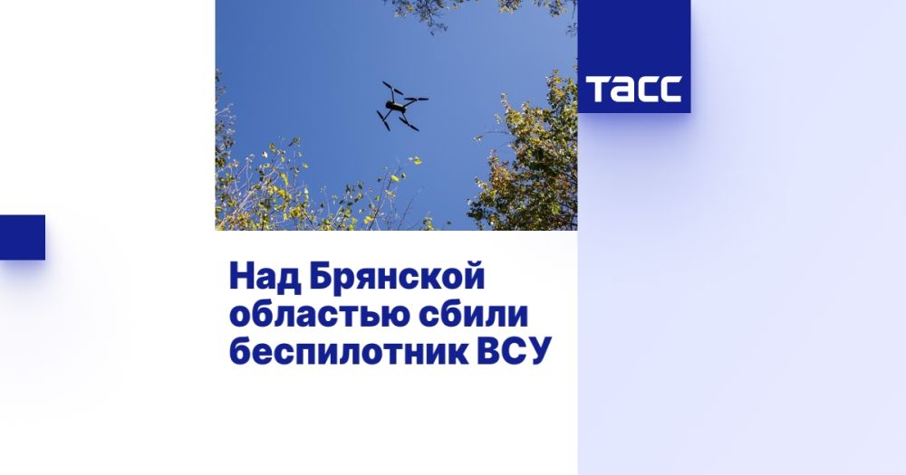 Над Брянской областью сбили беспилотник ВСУ