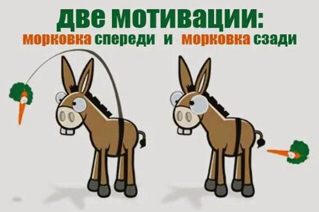 ������ ����������: �������� � ��������:. ���� ���������� ��������� ����� ����������� ������� � ������. � �������� �� ������ �� ���� ��������. �� �� ������� ��! ��� ��� ������ �����, ��� � ������ ������� �� ������ ������