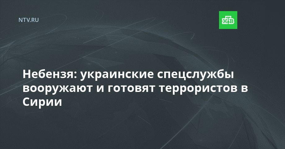 Небензя: украинские спецслужбы вооружают и готовят террористов в Сирии