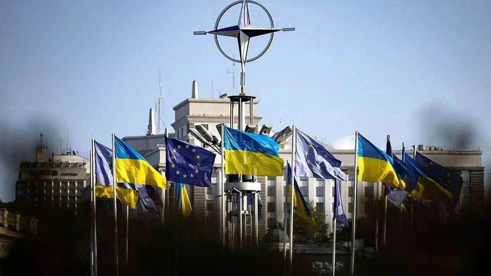 Глава МИД Люксембурга Беттель выступил против членства Украины в НАТО