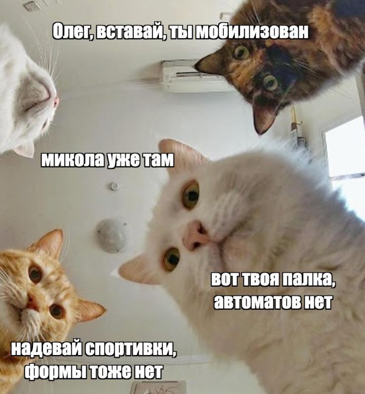 ����� �������� ��������� �������� ��� �������� �� �����