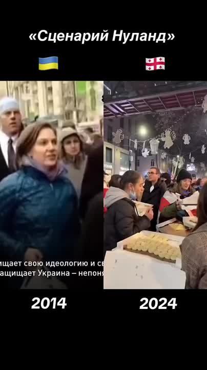 ��������� �������: ������� 2014. ������ 2024