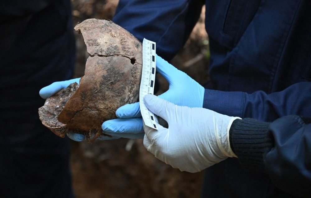 ���� ������� ������: ������ ��������� �� ���������� ����� ��������� �����, � ������ ��� ����� �����