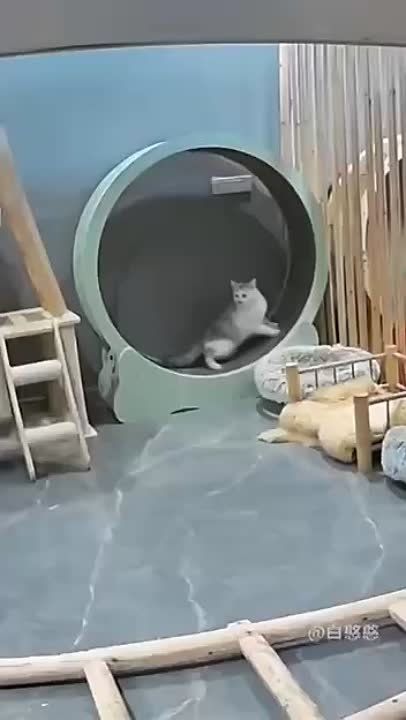 ����� ����������: ���������� � ����� ����� � ��������, �� ������� ���������� ������� ��������, ���� �������� ������� � ������ �����������, � ������ �� 7 �������: