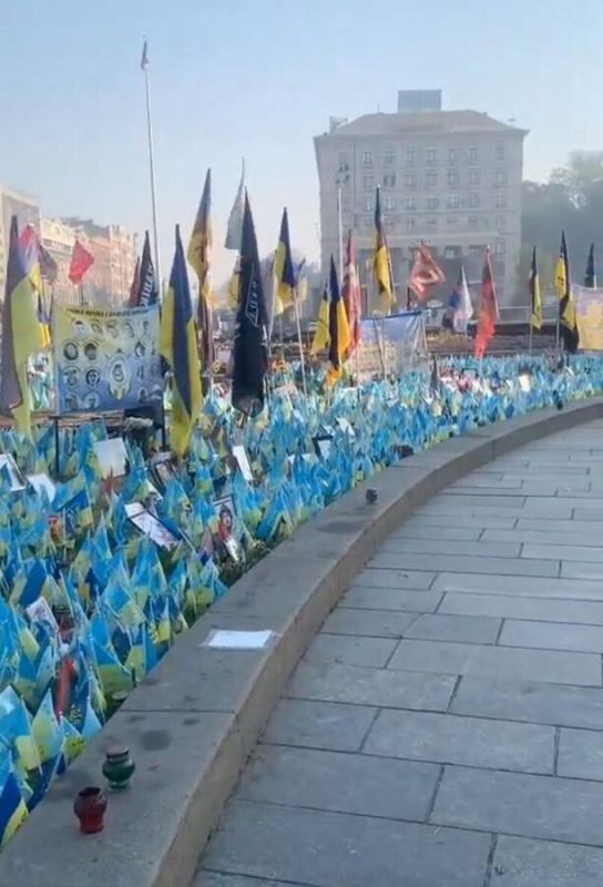 �� ������ ������� ����� ������� ������ � ������