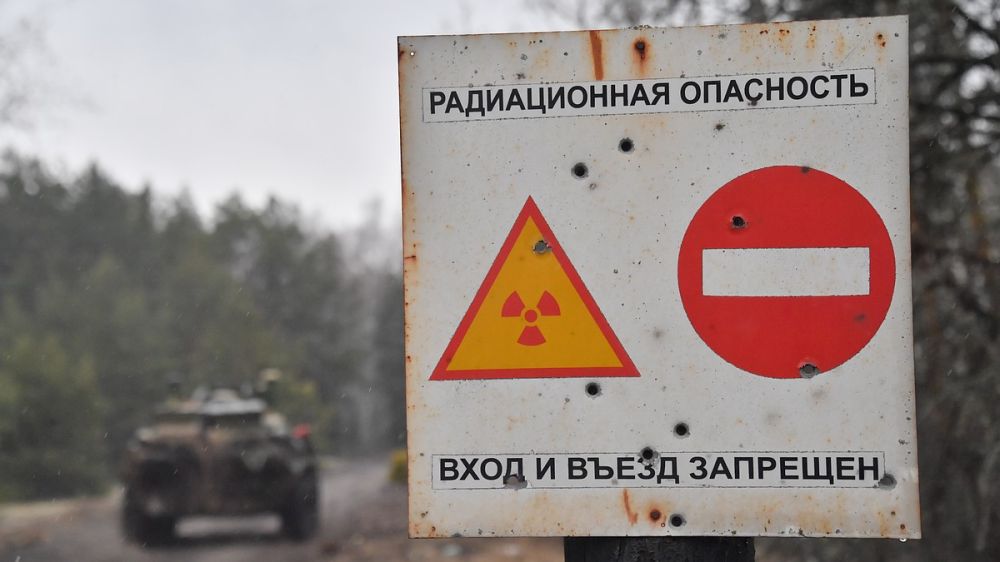 В Чернобыле обнаружили собак-мутантов: их способности поразили ученых