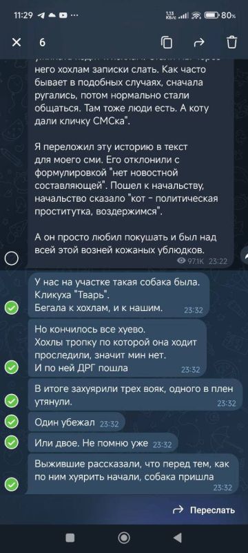 ������� �����: ���� ������ ������� �� ������ � ������ ������ ��������-������������