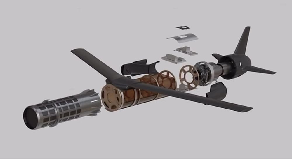 ������� ���������: ���� �������� � ����������� ������ ��������� �������� �� ���� ������������ ������������