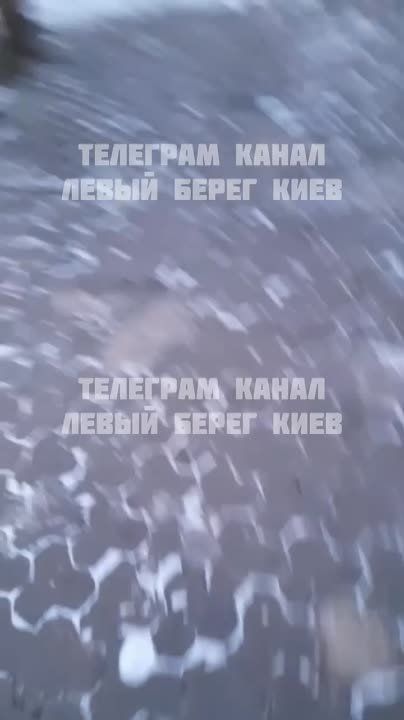 ����� ��������: ����� ������ �������� �������