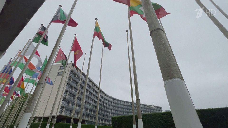 ������ �������� ����, ��� ������� � ������� ������ � ������������ ����������� ��� �� �������, � ���� ������ � ��������