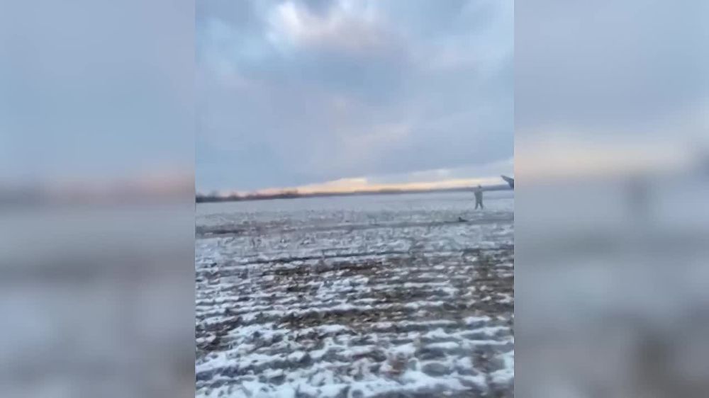 ������ ���������: ������������ ���������� ������ ���