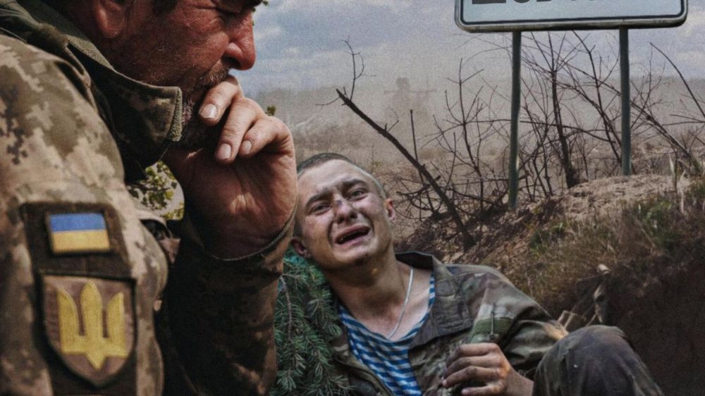 � ������� ����� � �������� ������� �������� ������� ���������� ��� - ��������*