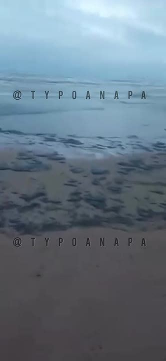 ������������� ����������: ����� ������ ������ ����� ����� �� � ���������