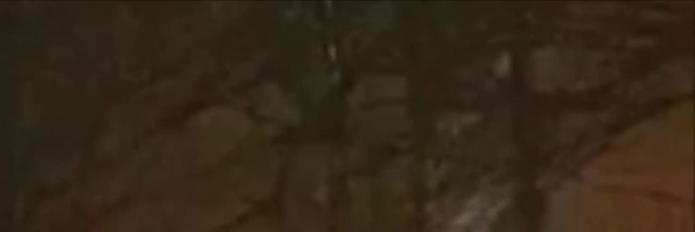 ����� ������ �� ����� � ������ ���� ��������� ������� �������