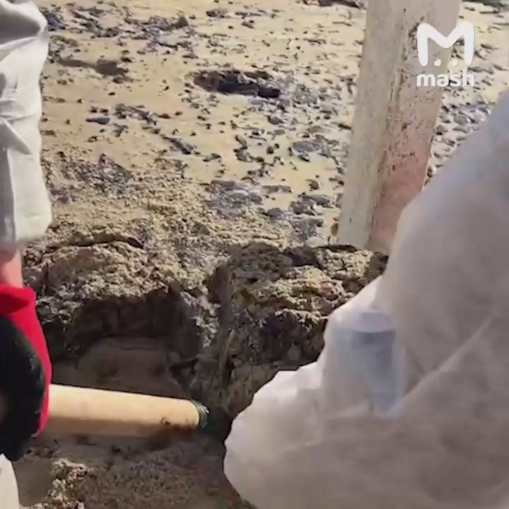 ����� ����������: ����������� ����� ��� �� �������, ����� ������ �������� ����� ������� � ��������, �������� �������� �������������� � ��������� ������, � �������� ������ 20 ������: