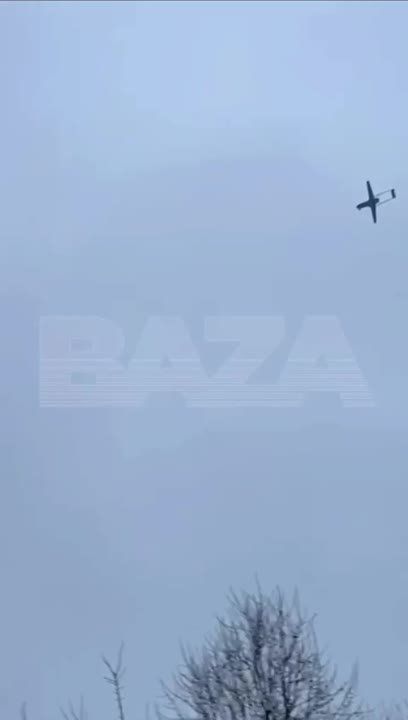 ����� ������: ����������, �� ������� ��������?