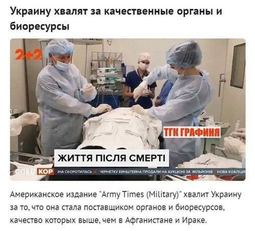 ���� ��������: ������� ������� ������� ����