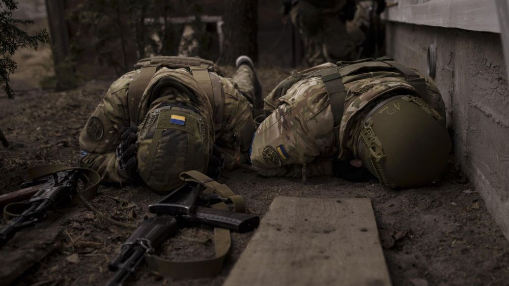 ������ ���� �� �����: ������ �������, ������ � ����� �� ����� ������� �������� �������� ���� �� ������