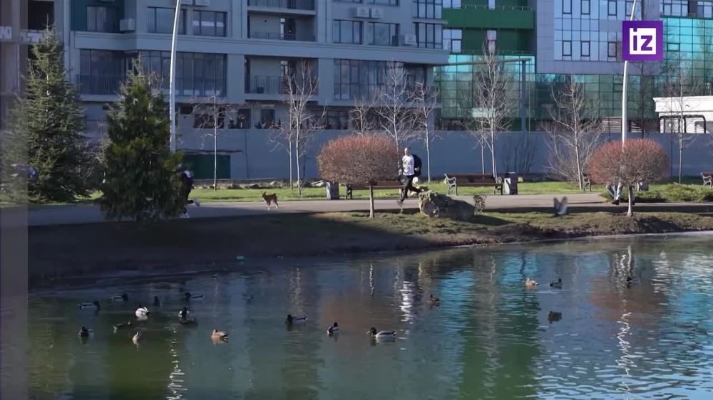 ������ ����������� ���� � ������ ������ ����� ������� �� �������������� � 8:00 ��� 1 ������, �������� "�������"