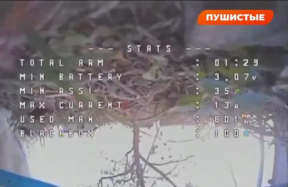 ����� ����������: ������� ���� ������� ����� �������, � ���������� ����� �������������, �� ������ ������ ����������� �����, � ������ ������ � ���� ���� �� 3 ������: