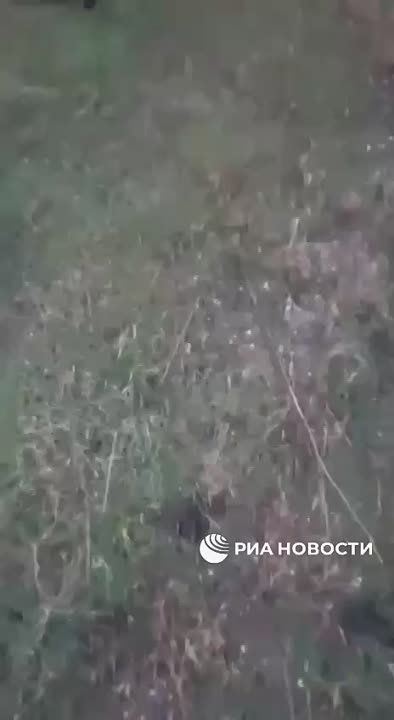 ���������� ��� ���������� �� ����� ������ ������, ���� ��������� ���� � ����, ������� ��� ������� ������������� ���������� ������� ���������
