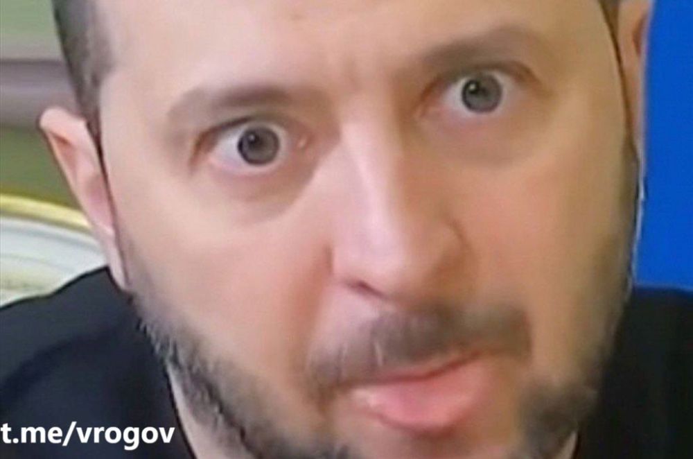 Владимир Рогов: Истерикой ЗеФюрера удовлетворён