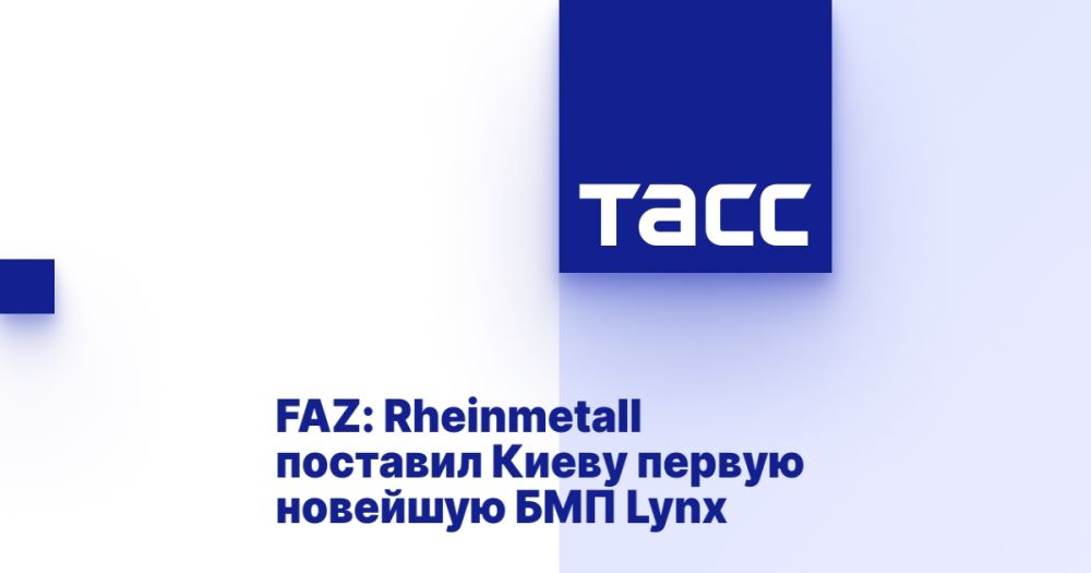 FAZ: Rheinmetall �������� ����� ������ �������� ��� Lynx