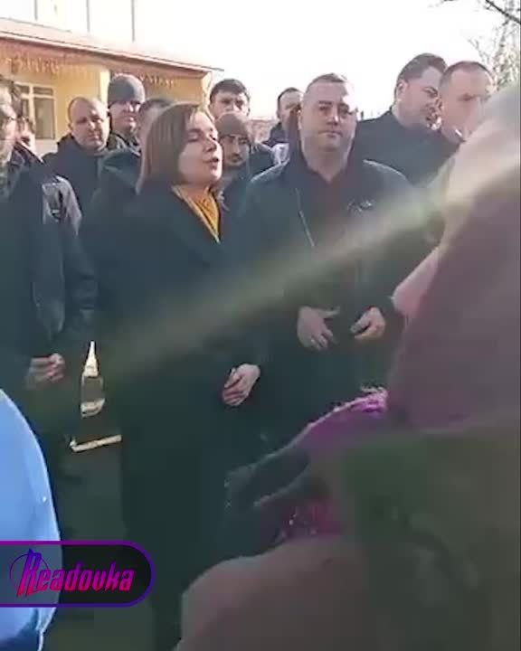 ����� ����������: ��� ��������� � 40 �������� ������ 109 ���������� �����������, � ������� ������ 355 ������ ������, � ���� �� ������� �� ��� ���