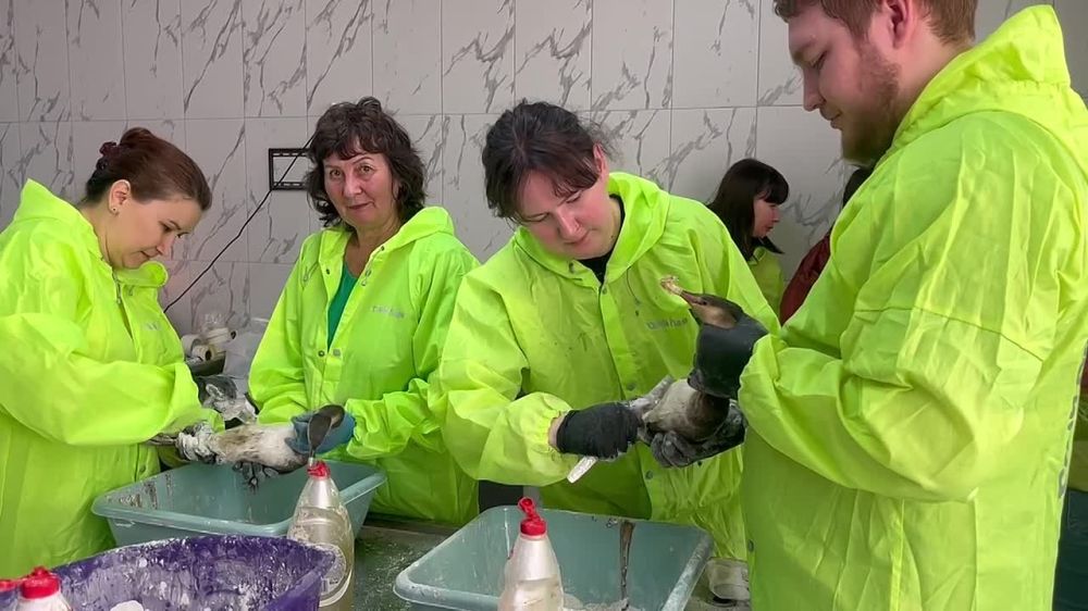 ����� ����������: ����� ���������� ����� � �������, ��������� � �������� ��������� �������, ����� � ������������ �����, � ������ 11 ������