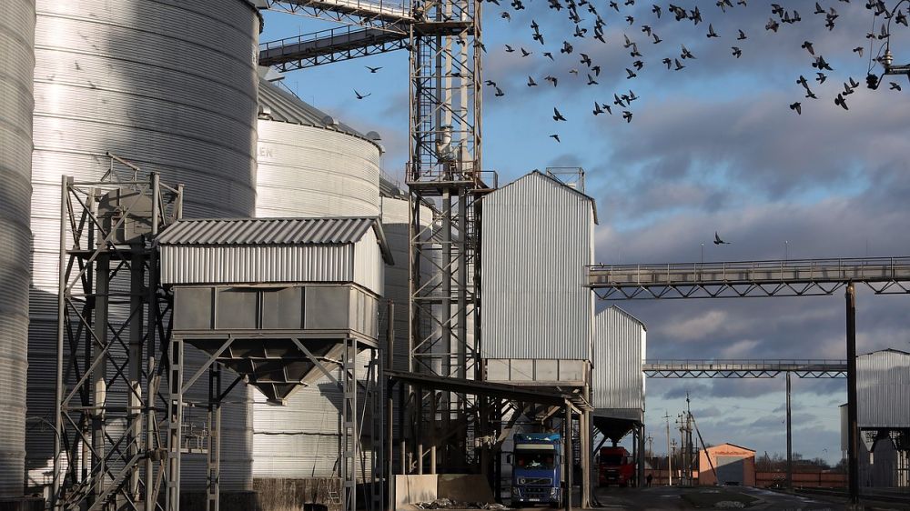 ������� ��������� ������������ ������ � �����