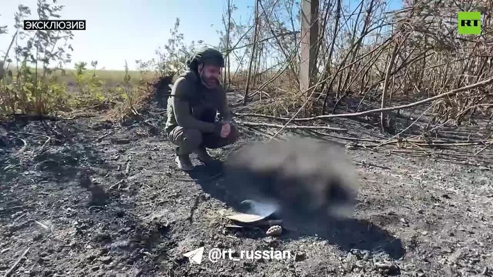 �� �� ����� � �������� (���), ������������ �������� �������