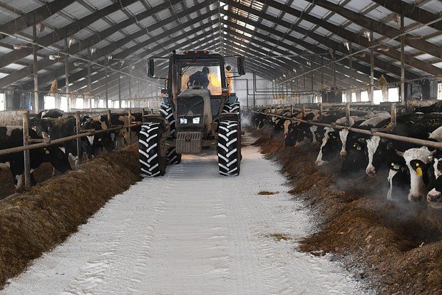 ����� ��� ������� ������� �� ���� ��� ������� � 110 ���������� ������