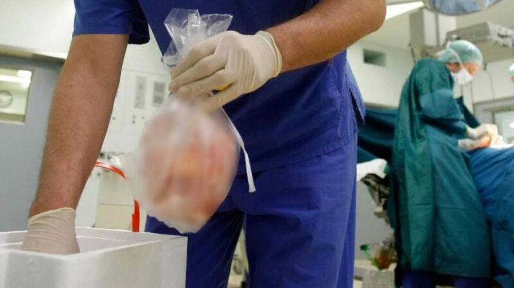 ������� ����� ��� "������" �������: ������� ��������� � �������� ���������� ��� "������" � �������