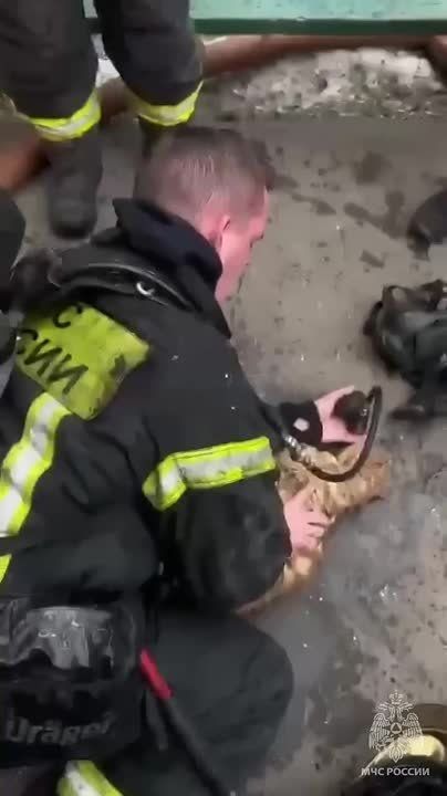 ����� ����������: ������ �������� ���������� �� �������� � ����������� �����, ��� �� �������� ��������� ������ � �������, ������� ����� ������� �� ������ �� ��������� � ���, � ������ 25 ������: