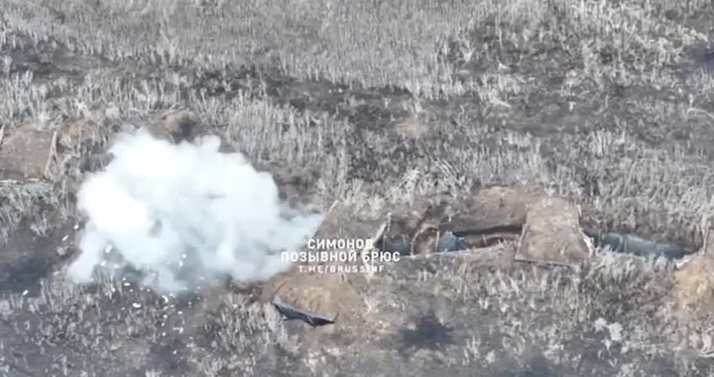 Александр Симонов: По берегу реки Оскол, к югу от Купянска