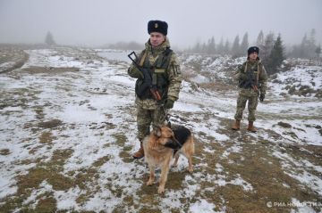 На Западе ужаснулись увиденному на границе Румынии и Украины