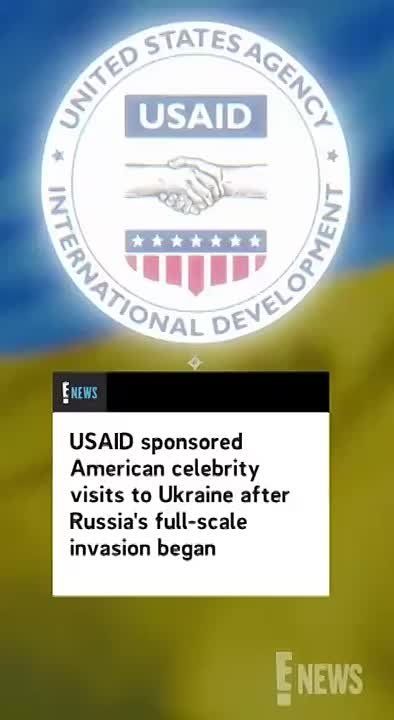  USAID (    )         