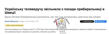 44-летняя экс-ведущая на Новом канале и ТРК Эра Ирина Литвин-Комаровская, переехала в Швецию, устроилась там уборщицей и заболела депрессией ее уволили