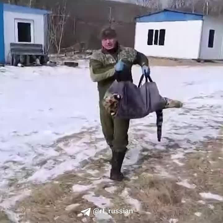 ����� ����������: �������� ����� ����� ����������, ����� �������� ������� ������������� � ��������, �� ������� ����� ���� ������ ������� � �������� ������ 6 �������: