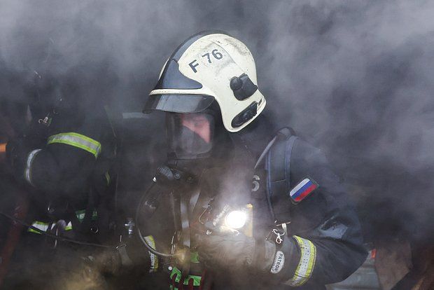 ���������� ��������: � �������� ����� ����� ��� ���������� �����������