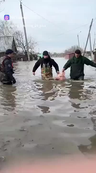 ��������� ���������: �������� "�������� ������" ������ ������� �������, ������ �������� ����� ������ � ����, ����� �� �������