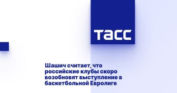 Шашич считает, что российские клубы скоро возобновят выступление в баскетбольной Евролиге
