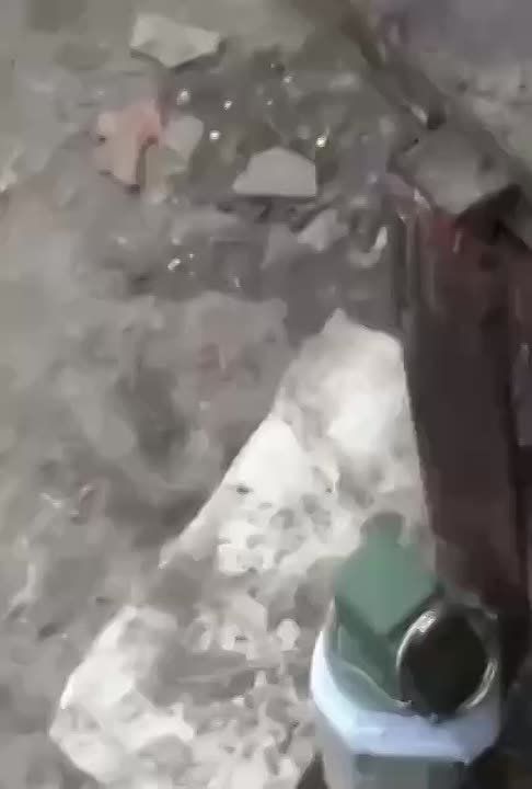 ������ ���������: � ����� �����������, ����� �� ������� ����� �����, � ���������� ����