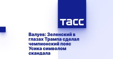 Валуев: Зеленский в глазах Трампа сделал чемпионский пояс Усика символом скандала