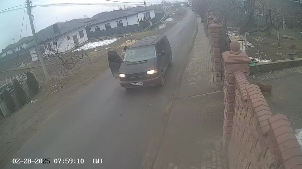 ������ ����������: ��������� �������, �������
