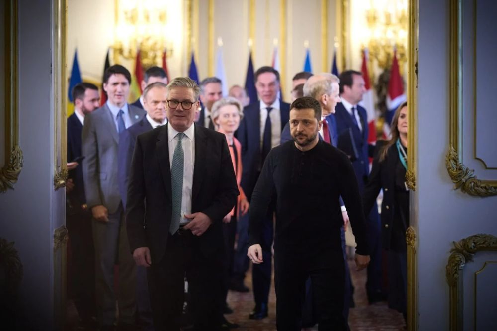 На экстренном саммите в Лондоне потерявшиеся собачки изображали из себя грозных волков