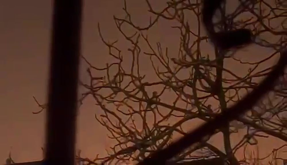 Олег Царёв: ВС РФ нанесли удары по семи областям Украины: