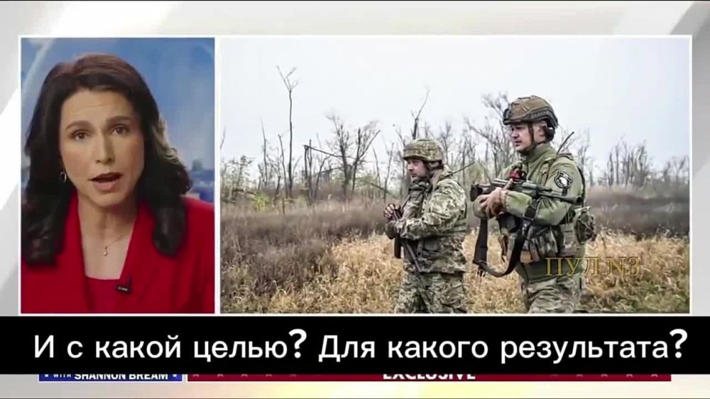 Директор нацразведки США Тулси Габбард - о попытке Зеленского развязать Третью мировую: