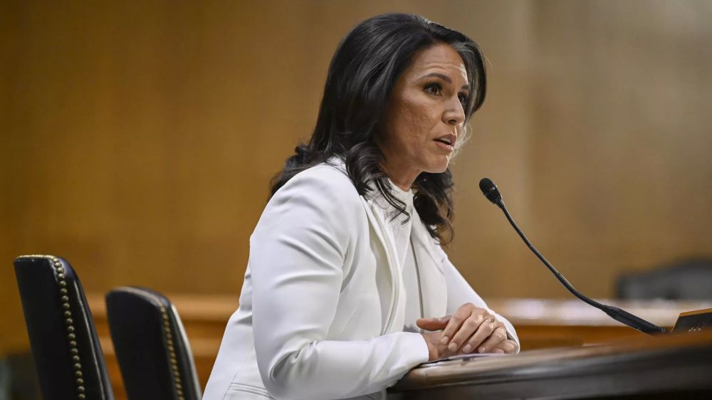 Директор нацразведки США заявила, что Зеленский пытается «развязать Третью мировую»