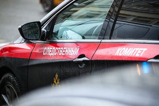 ���������: �� � 2024 ���� ����������� ���� � ���������� � ��������� 564 �������